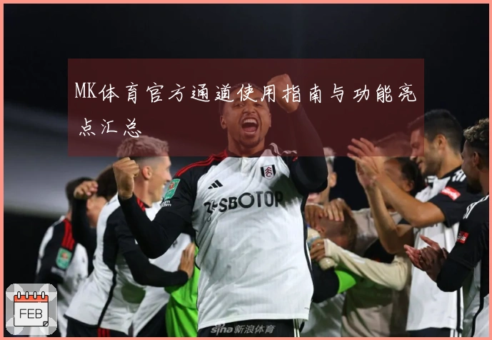 MK体育官方通道使用指南与功能亮点汇总