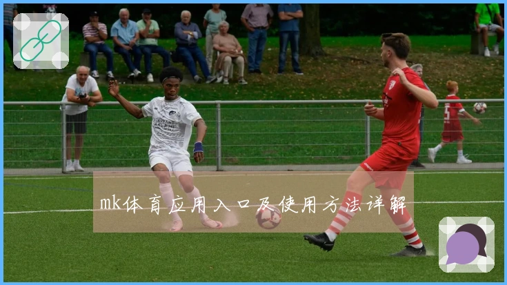 mk体育应用入口及使用方法详解